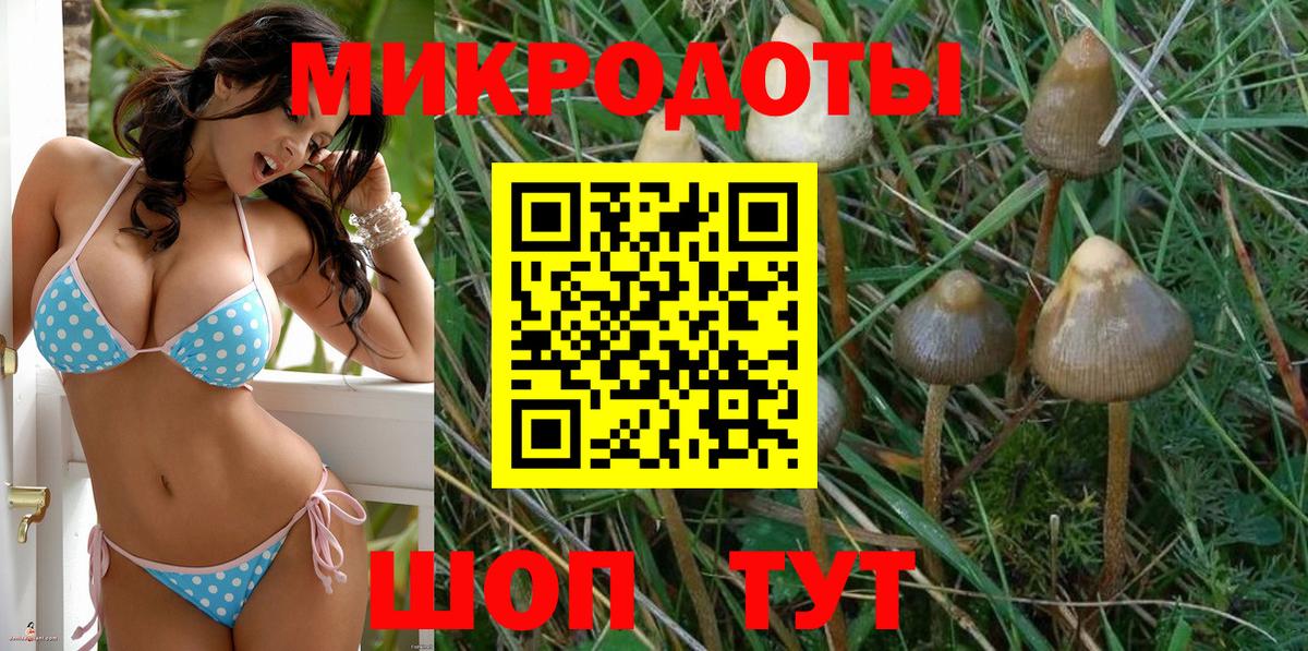 Псилоцибиновые грибы Magic Shrooms Симферополь