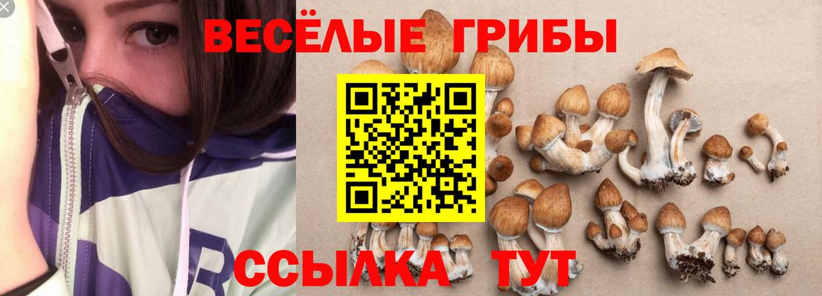 Симферополь  Галлюциногенные грибы ЛСД  Вход с VPN 